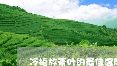 冷柜放茶叶的最佳温度/2023061269608