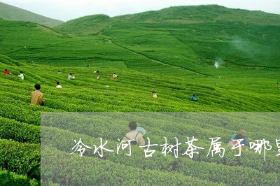 冷水河古树茶属于哪里/2023092118793