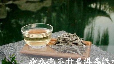 冷水泡不开普洱茶能喝吗/2023081765049