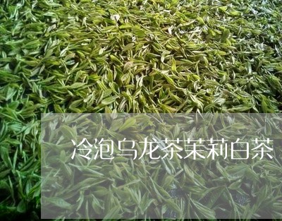 冷泡乌龙茶茉莉白茶/2023121747261