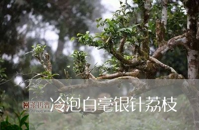 冷泡白毫银针荔枝/2023061396158