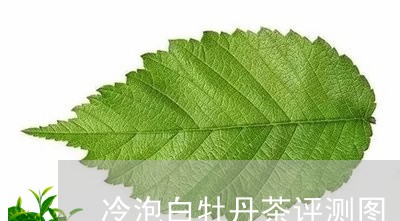 冷泡白牡丹茶评测图/2023081266269