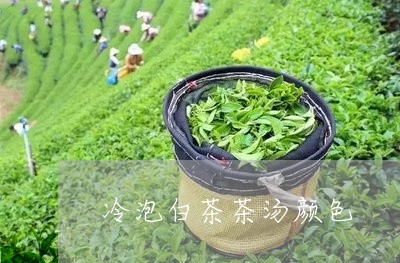 冷泡白茶茶汤颜色/2023061334126