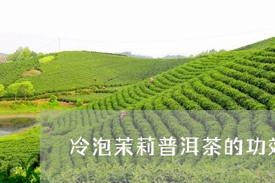 冷泡茉莉普洱茶的功效和作用/2023052992737