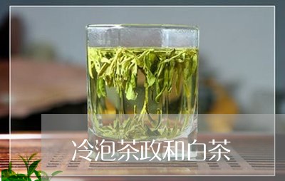 冷泡茶政和白茶/2023112438281