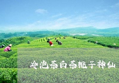 冷泡茶白茶桃子神仙/2023071580607