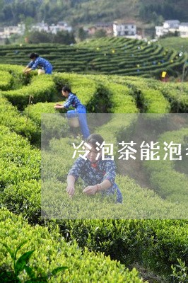 冷泡茶能泡老白茶吗/2023121740694