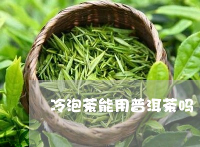 冷泡茶能用普洱茶吗/2023110589372