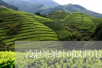 冷泡茶茶叶可以泡几次/2023061255370