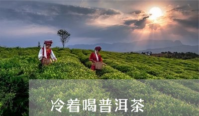 冷着喝普洱茶/2023042567879