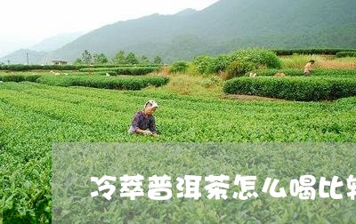 冷萃普洱茶怎么喝比较好/2023110592825