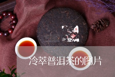 冷萃普洱茶的图片/2023082802947