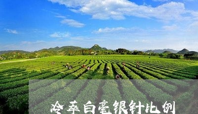 冷萃白毫银针比例/2023090761595