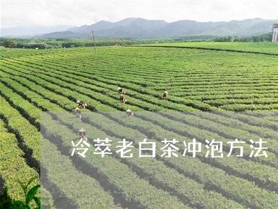 冷萃老白茶冲泡方法/2023071506258