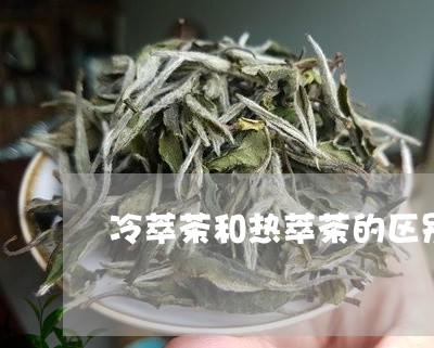 冷萃茶和热萃茶的区别/2023092108393