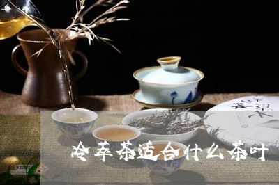 冷萃茶适合什么茶叶/2023042630725