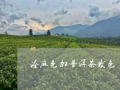 冷麻色加普洱茶发色/2023120536158