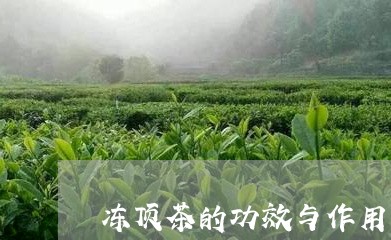 冻顶茶的功效与作用/2023042381503