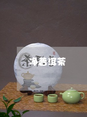 净普洱茶/2023110808406