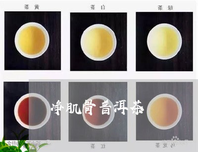 净肌骨普洱茶/2023042798498