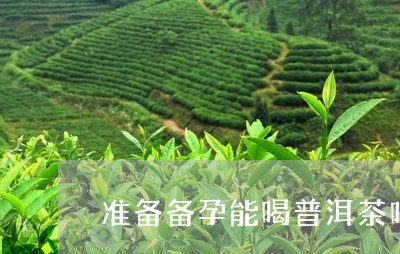 准备备孕能喝普洱茶吗/2023062151704