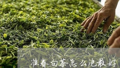 准春白茶怎么泡最好/2023071575949