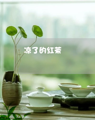 凉了的红茶/2023090255717