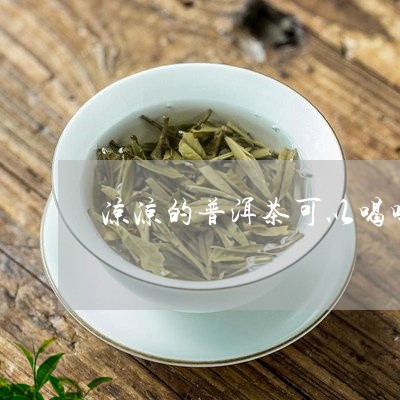 凉凉的普洱茶可以喝吗/2023092971715