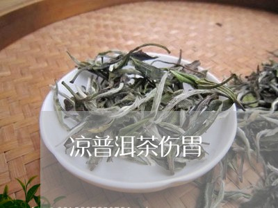 凉普洱茶伤胃/2023042905156