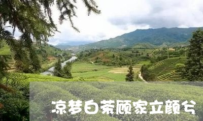 凉梦白茶顾家立颜兮/2023071521602