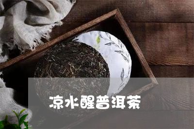 凉水醒普洱茶/2023042793253