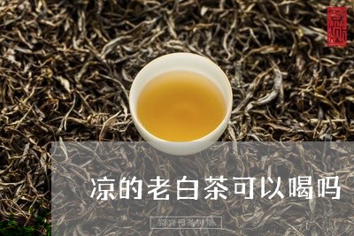 凉的老白茶可以喝吗/2023081307272