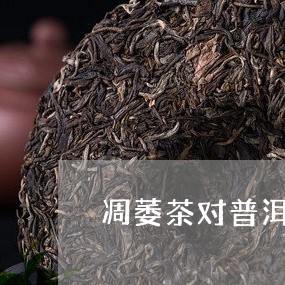 凋萎茶对普洱茶的影响/2023100783737