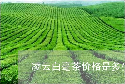 凌云白毫茶价格是多少/2023071662914