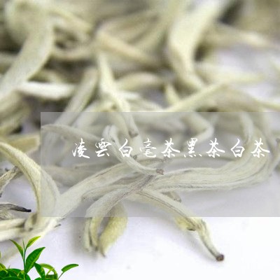 凌云白毫茶黑茶白茶/2023081316261