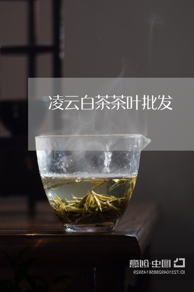 凌云白茶茶叶批发/2023061382615