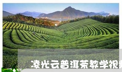 凌光云普洱茶教学视频/2023092992605