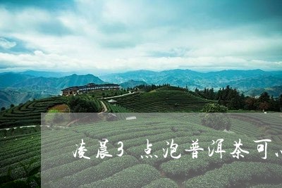 凌晨3点泡普洱茶可以吗/2023103142493