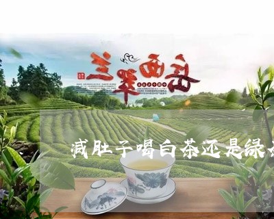 减肚子喝白茶还是绿茶好/2023063060603