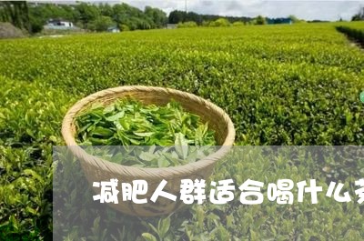 减肥人群适合喝什么茶/2023071358673