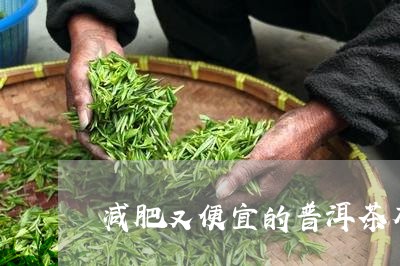 减肥又便宜的普洱茶有那些/2023082870785