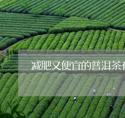 减肥又便宜的普洱茶有那些/2023121519295