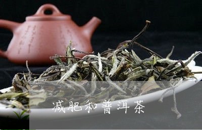 减肥和普洱茶/2023042879651