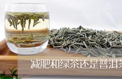 减肥和绿茶还是普洱茶/2023080139704