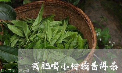 减肥喝小柑橘普洱茶/2023121596393