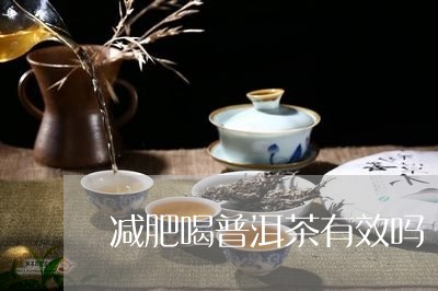 减肥喝普洱茶有效吗/2023091540495