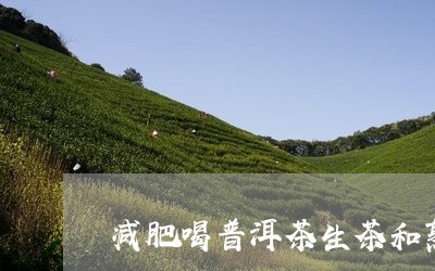 减肥喝普洱茶生茶和熟茶哪个好些/2023082868795