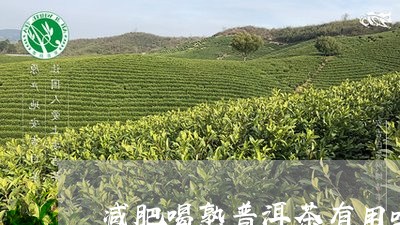 减肥喝熟普洱茶有用吗/2023061700723