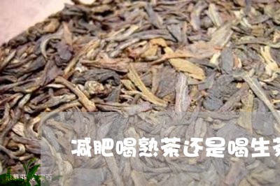 减肥喝熟茶还是喝生茶/2023061077069