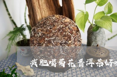 减肥喝菊花普洱茶好吗/2023062461493